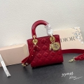 Dior ディオール（レディース） バッグ通販。新作コレクションから日本未発売アイテムまで続々登場！nvbag572